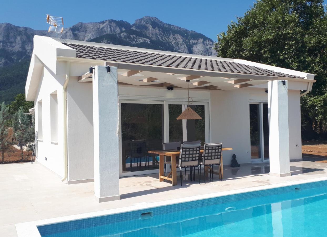 סקאלה פוטאמיאס Casa O' - Moderne Villa Mit Grosser Terrasse Und Privatem Swimmingpool מראה חיצוני תמונה